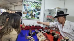 Comenzó la Feria de las Artesanías: más de 300 artesanos participan en esta edición