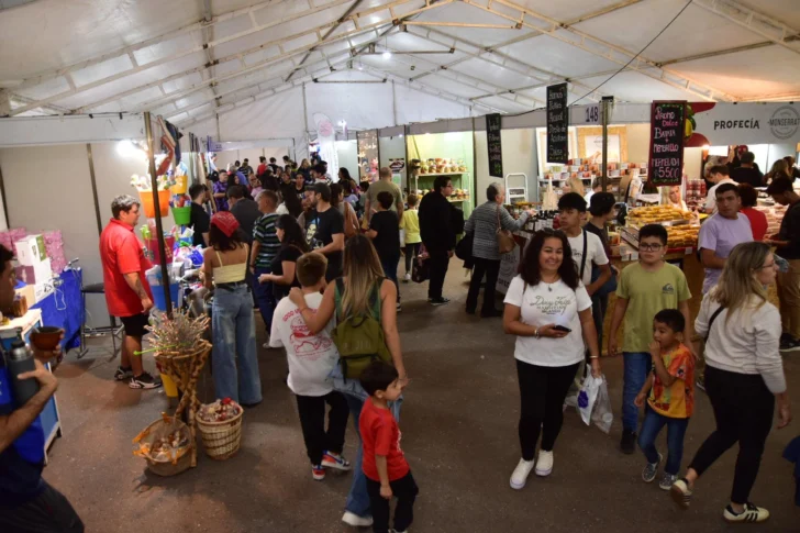 Feria-de-las-Artesanias-2°-dia-4-728x485