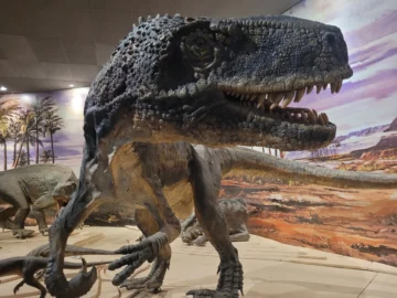 El lugar que está a 300 km de la Ciudad de San Juan y permite ver dinosaurios en tamaño real