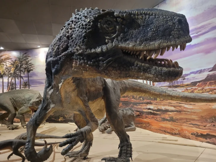 El lugar que está a 300 km de la Ciudad de San Juan y permite ver dinosaurios en tamaño real
