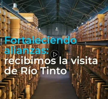 El Proyecto Los Azules recibió a representantes de Río Tinto