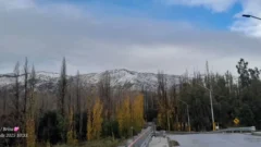 Nevó en Jáchal y Pedernal: el paisaje se transformó en una postal invernal