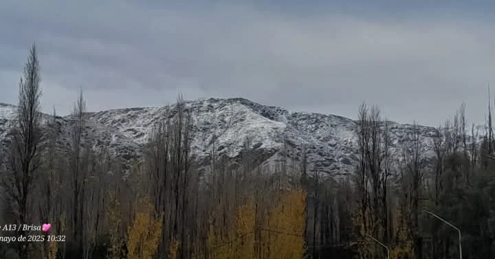 Nieve-2