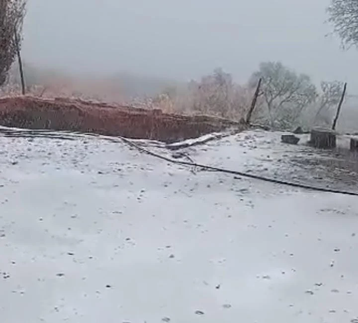 Nieve-3