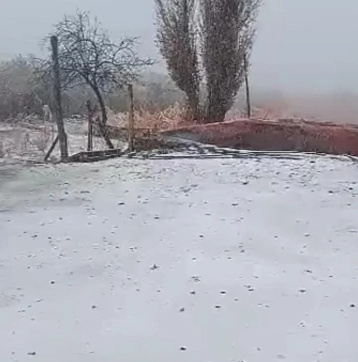 Nieve-4