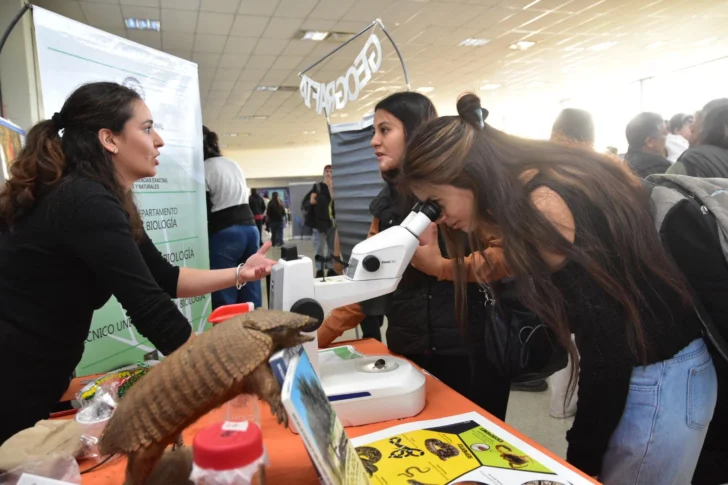 Oferta-educativa-de-la-UNSJ-14-728x485