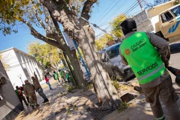 Avanzan los trabajos de desinsectación y desratización en la Capital