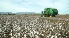 Agrotraza: la startup que busca transformar la agricultura sanjuanina con tecnología de precisión