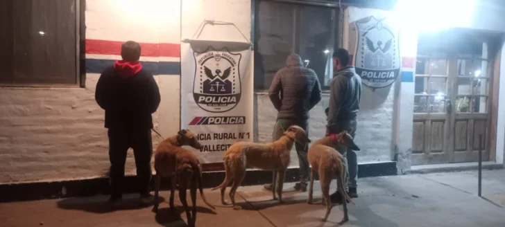 Operativo en Control Fitosanitario: Secuestran tres galgos transportados en condiciones precarias