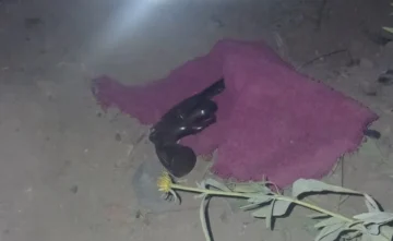 Se le cayó el arma cuando escapaba de la Policía en Rivadavia