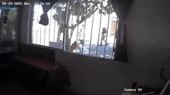 Crimen en Pocito: el luchador de Kick Boxing, con prisión preventiva