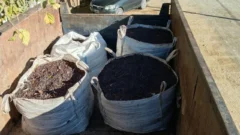 Secuestraron en Caucete más de 2000 kilos de pasas de uva robadas