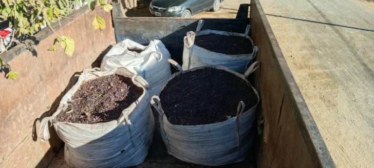 Secuestraron en Caucete más de 2000 kilos de pasas de uva robadas