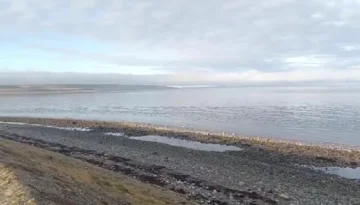 Videos increíbles: así se retrotrajo el mar en Chile en medio del alerta por tsunami