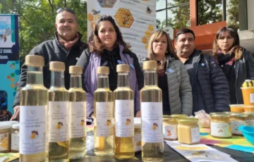 Alumnos de una escuela de Jáchal elaboraron un innovador licor de miel