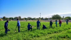 Con cierre perimetral, Enología proyecta una recuperación histórica de producción