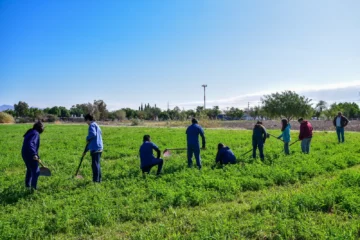 Con cierre perimetral, Enología proyecta una recuperación histórica de producción