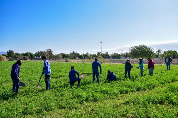 Con cierre perimetral, Enología proyecta una recuperación histórica de producción