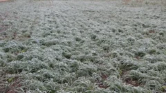 San Juan, bajo cero: una intensa helada marcó este miércoles