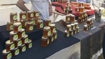 Por el Día de las Abejas, habrá una feria especial en San Juan