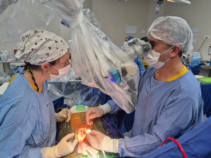 Qué es una Drezotomía, la inédita neurocirugía que realizaron en el Hospital Rawson