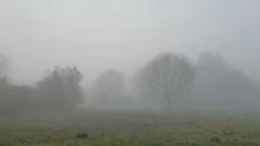 Neblina y lloviznas: detallaron cómo afectaron las rutas de San Juan