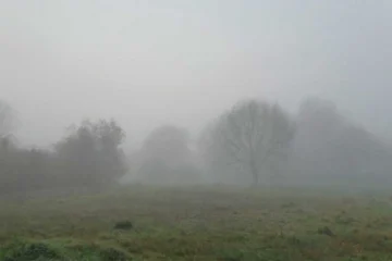 Lluvia sorpresa y niebla: un martes atípico en San Juan