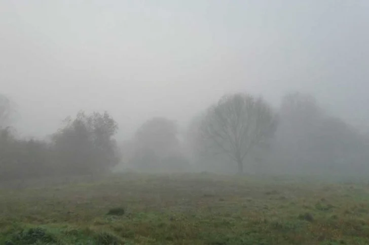 niebla-sj-728x485