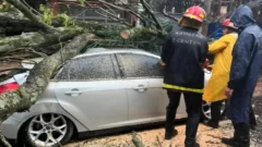 Grave temporal en Misiones dejó personas heridas y graves destrozos