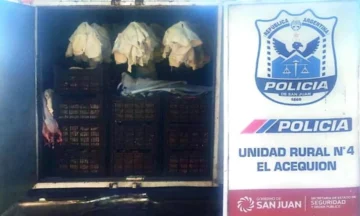 Policía detuvo una camioneta que trasladaba 800 kilos de achuras sin habilitación