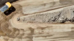 Hito en el proyecto Vicuña: los 7 puntos a tener en cuenta
