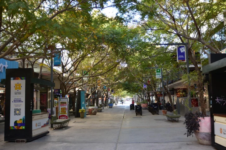 centro peatonal comercio