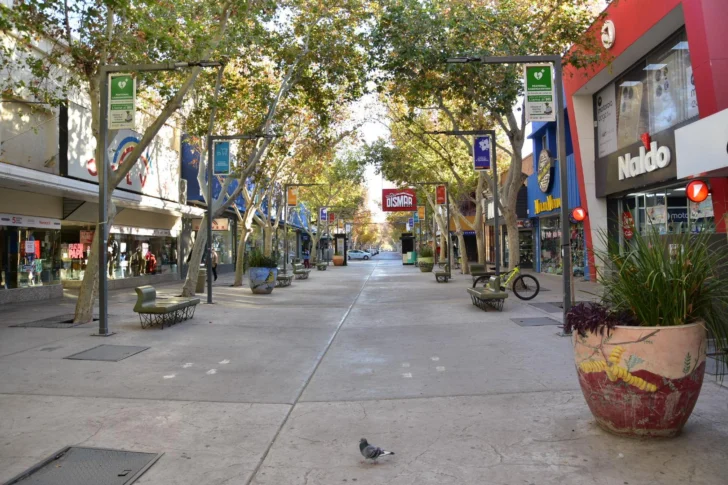 centro peatonal comercio