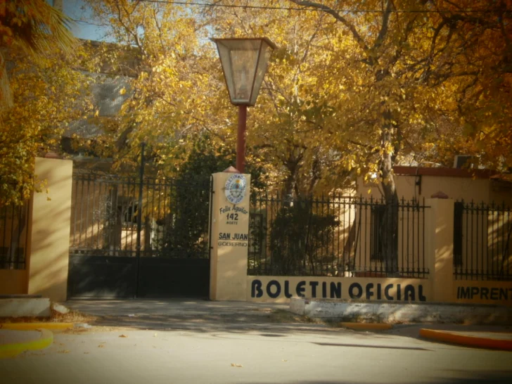 Boletin-oficial-1-728x546
