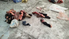 Secuestran 350 kilos de carne de caballos faenados ilegalmente en Chimbas