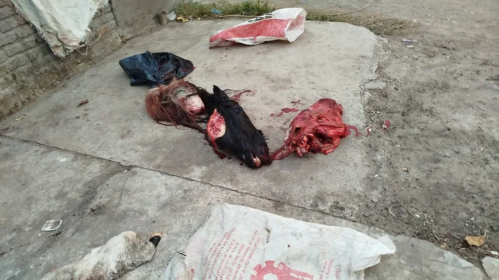 Imagen-de-WhatsApp-2025-06-25-a-las-23.16.00_fb77dea7-728x409
