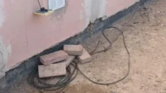 Investigan a una mujer que intentó electrocutar perros con un pan con cables pelados