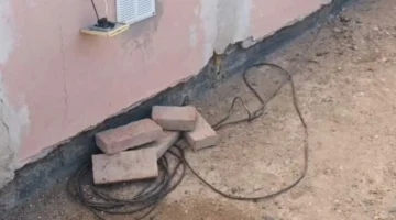 Investigan a una mujer que intentó electrocutar perros con un pan con cables pelados