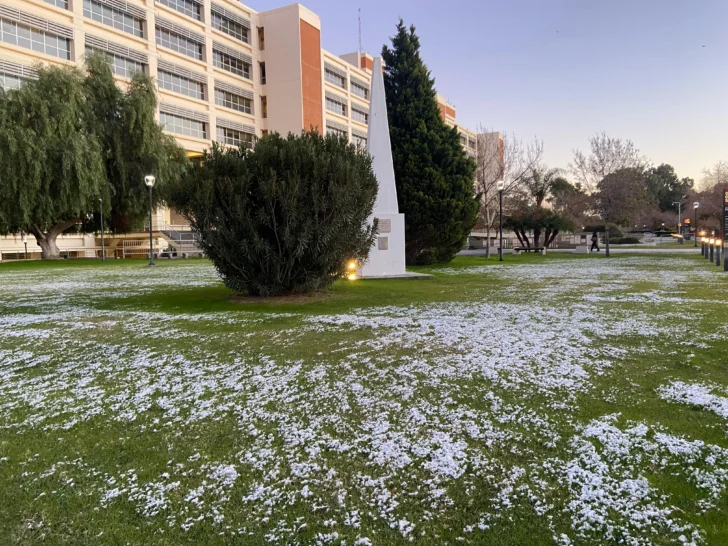 Tras la ola de frío polar: cómo seguirá el tiempo en la semana