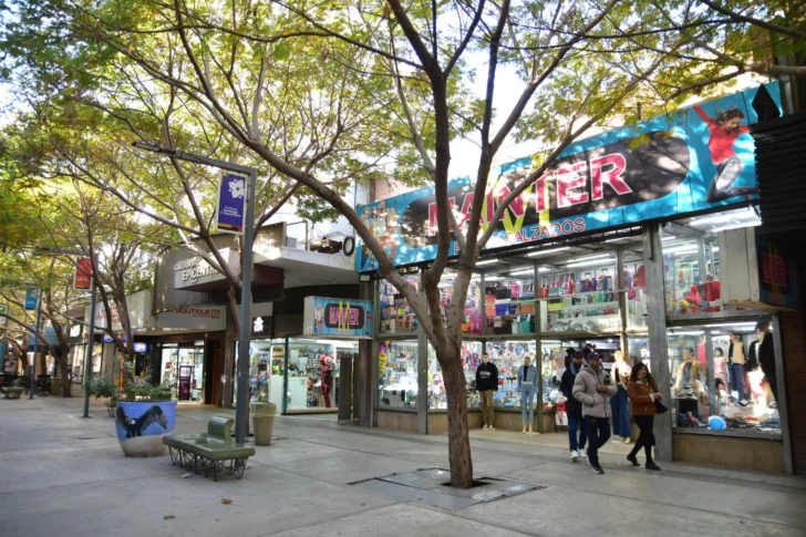 peatonal comercio centro