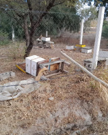 Bronca: destrozos en el campo didáctico en la Escuela de Enología