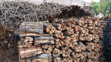 Por las bajas temperaturas en San Juan aumentó la demanda de leña