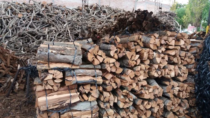 Por las bajas temperaturas en San Juan aumentó la demanda de leña