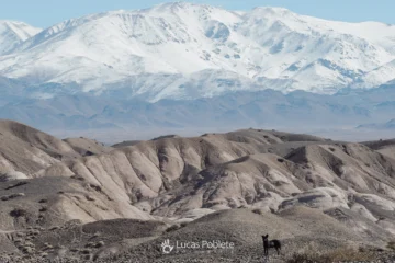 Viento Zonda y frío intenso: el sube y baja de temperaturas que se viene en San Juan
