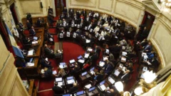 El Senado sesiona por el veto a la emergencia en discapacidad