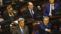 En el Senado se aprobó por unanimidad la ley de emergencia en Discapacidad