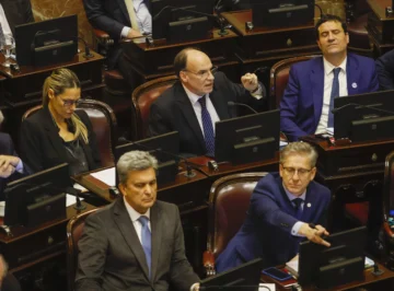 En el Senado se aprobó por unanimidad la ley de emergencia en Discapacidad