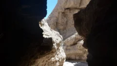 La ciencia pone sus ojos en San Juan: la Cueva de la Cañada distinguida a nivel internacional