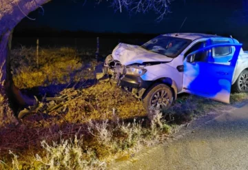 Conducía ebrio, sin licencia y chocó contra un árbol