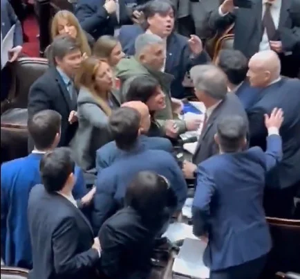 Escándalo en la Cámara de Diputados:  la sesión terminó a los empujones